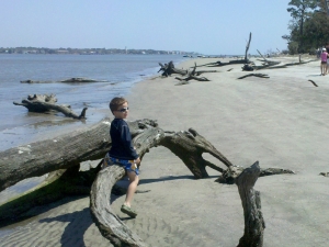 Zack on Driftwood Beach
